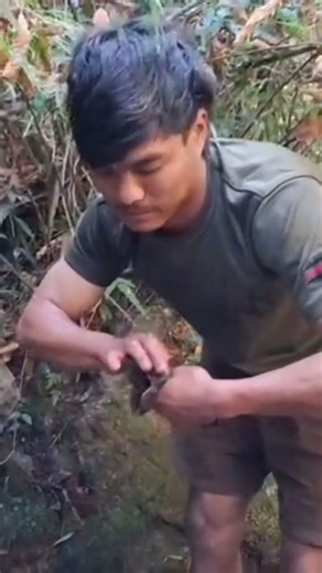 Paha (Toad)Hunting in Himalayan Area of nepal🇳🇵