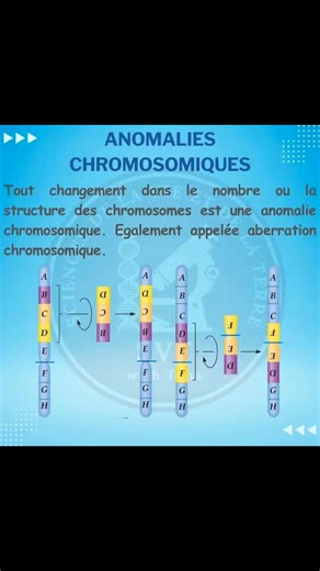 Svt Challal on Instagram: "Anomalies chromosomiques @svt.with.tahz #Anomaly #chromosomes #bac2026 #maroc #svt #BioF #DNA #2bac #bacmaroc #RNA"