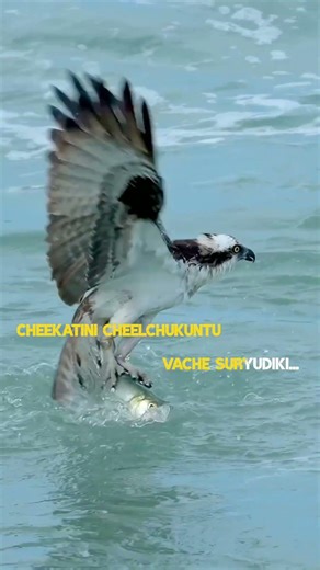 Avamanale Nee Vijayaniki Metlu! 🔥 #TeluguMotivation#motivation #police #upsc