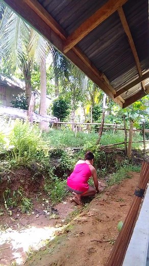 50 reactions · 22 comments | My Output for today珞殺 Nabalaka naman kos byahe basin ma cancel kay 10:30pm pa baya among ticket(advance booking) ,sayang man pud ug mo sakay meg laen kay daku2× baya meg na bayaran tawn. Pero ako nalang ni e-lingaw2× ug pang henlo sa palibot sa balay, kay murag busy ang nagpuyo ane ug pang-warta. Puhon2× ug mag for good na ,ma maintain na ang pang henlo ane. | Maristel Bitoonan Baloria | Facebook