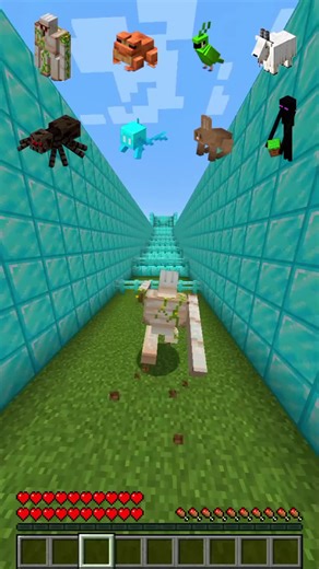 Creative Minecraft Traps for Different Mobs
