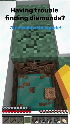 Easy Diamond Hack (Pros Only)