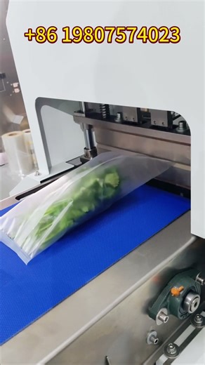 Samfull HFFS horizontal flowpack packaging machine for coriander parsley