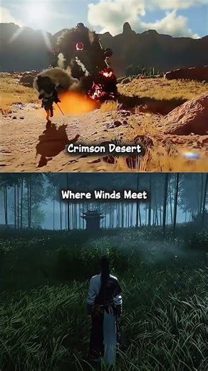 Free vs Paid graphic 😎 #wherewindsmeet #wwmccps5 #wwmcies5 #crimsondesert