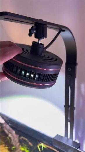 Review đèn Aqua LED chuyên chơi bể phong cách Biotope