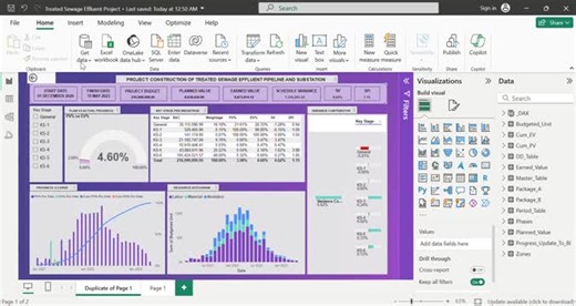 How to use Primavera P6 and Power BI for project planning. | Collins Obemeata M.Sc, B.Sc, FSA, SP, RMP, PMP posted on the topic | LinkedIn