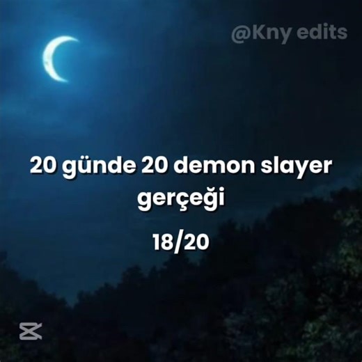 20 günde 20 demon slayer gerçeği #keşfetbeniöneçıkar #ytdayibenionecikarnolur #keşfetbeniöneçıkar