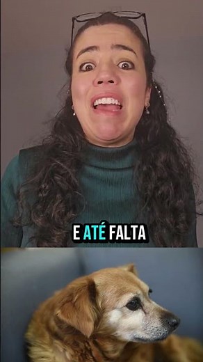 Atenção: doença do carrapato em cães!