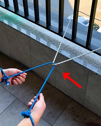 504K views · 1K reactions | Master the ultimate rope escape technique | This Is Brainy | Facebook