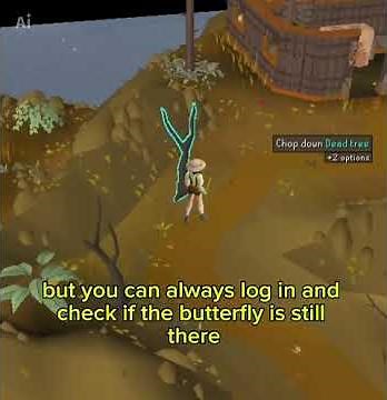 OSRS Ruby Harvest Butterfly Glitch