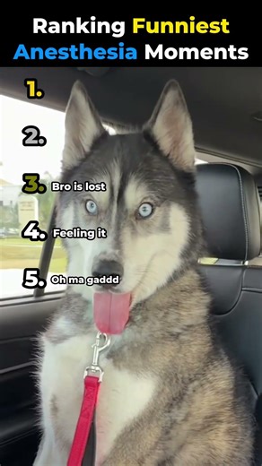 Ranking the Funniest Anesthesia Moments 🤣 #shorts