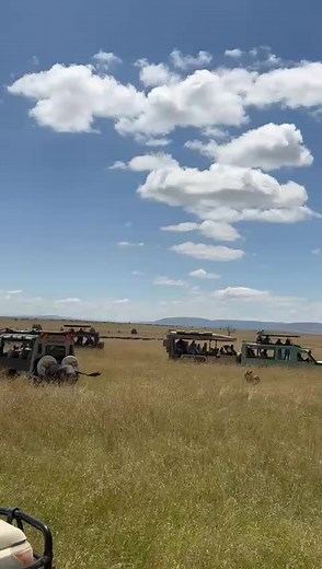 safari heights on TikTok