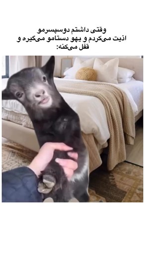 ‎میم | طنز | مثبت 18 | فان‎ on Instagram‎: "بفرست براش 😏🤣"‎