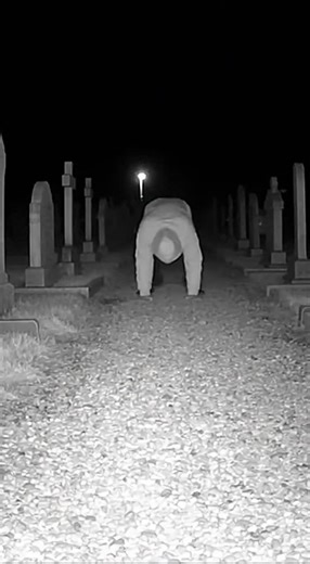 Watch the animal carefully 😨 This River underpass camera recorder a transformation 😨😱 #foundfootage #unexplained #caughtoncamera #horrortok #cctv