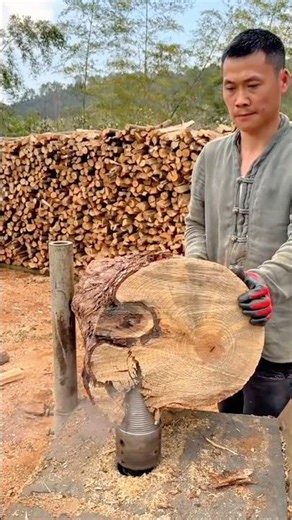Splitting log wood with a splitter tool makes neat pieces ready to use as firewood at home