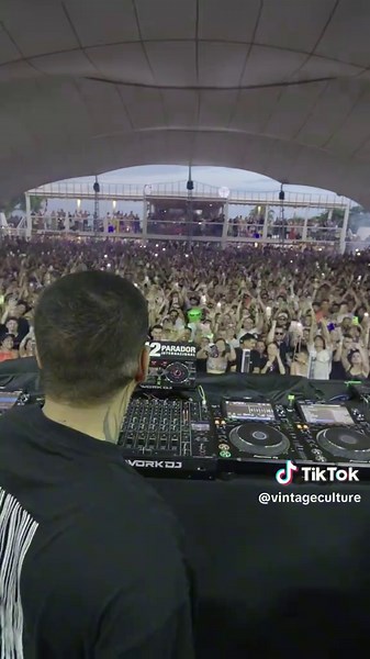 Exploring Vintage Culture in Electronic Music