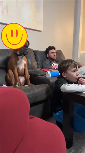 8.5K views · 103 reactions | Boxers are just the funniest  | Temika 3D Artist | Facebook