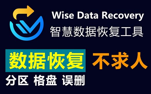 教你自己动手恢复电脑、SD卡、U盘、固态硬盘、机械硬盘、手机、相机等的数据恢复、文件恢复，分区、格盘、误删的文件都可救回