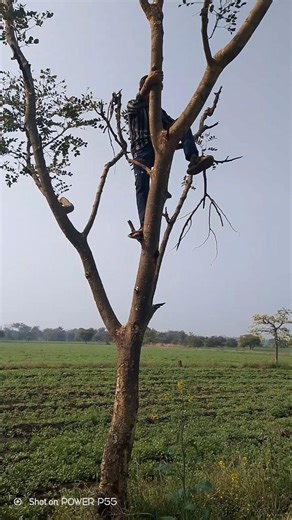 Aaj to inshan jese log dikhe New vlog 16/365 #shorts #ytshorts #minivlog #vlogseries