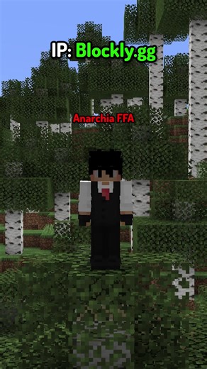 Wpadaj już dziś! #blockly #minecraft #anarchiaffa #anarchiagg #minecraftmemes