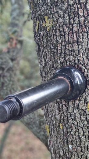 Aujourd'hui on vous montre l'installation d'un TAB de chez @thetreehouse.shop dans un chêne. 💚 #treehouse #cabane #tab #treelovers #woodworking #milwaukee #festool | CABANEO