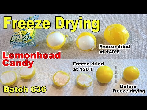Batch 636 Lemonhead Candy