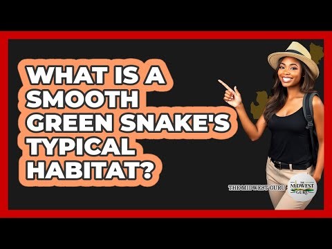 What Is A Smooth Green Snake's Typical Habitat?