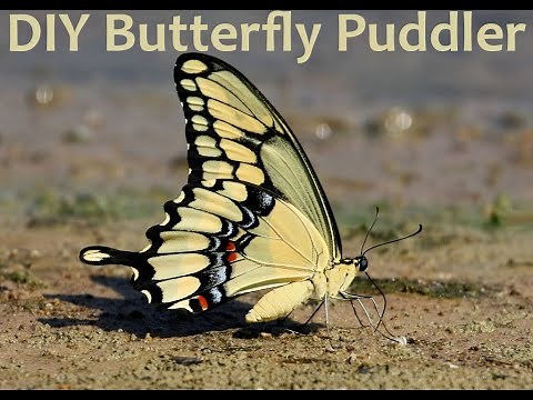 DIY Butterfly Puddler