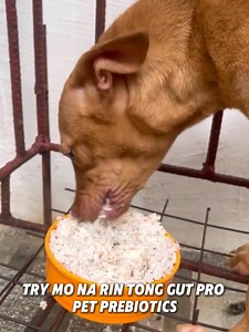 3K reactions · 113 shares |  헦혁헿헼헻헴헲헿 헜헺헺혂헻헶혁혆, 헙헮혀혁헲헿 헚헿헼현혁헵,...