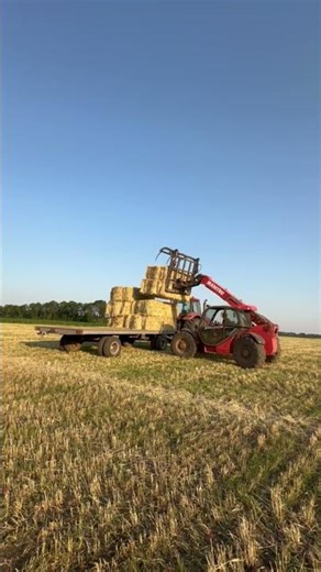 This telehandler makes hay loading look easy #agriculture #farmwork #machinery