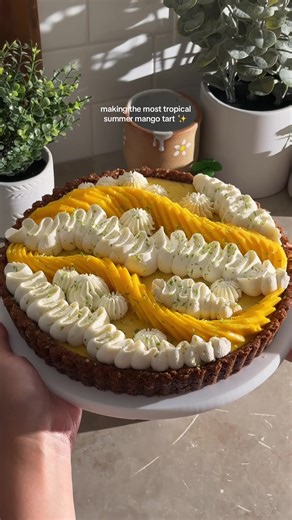 SUMMER MANGO TART 🥭✨ creamy mango-lime filling in a crunchy biscoff-coconut crust with fresh mangoes and whipped cream on top! it’s about as tropical as it can get and a must-make for mango season! recipe linked in my bio or search “mango tart” on teakandthyme.com 🫶 #mango #mangotart #baking #summerdessert #mangodessert