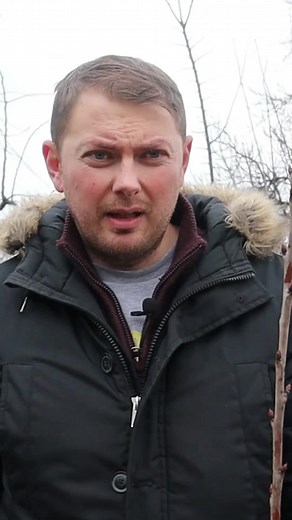 Tutorial taiere pomi #pomi #pomifructiferi #taieri #gradina TikTok