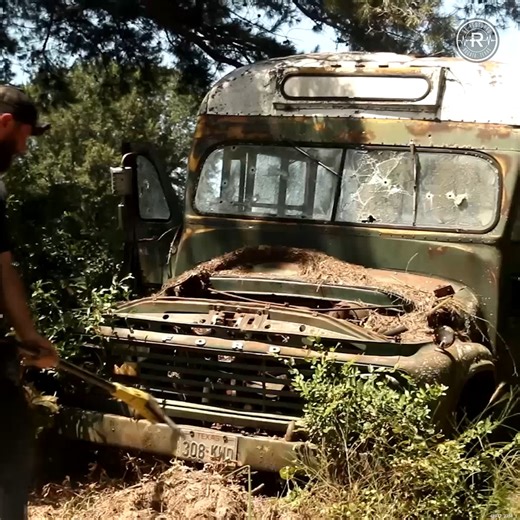 1.2M views · 10K reactions | Abandoned School Bus Full of Snakes | 1962 Ford Overtaken By Nature | Restored | Facebook