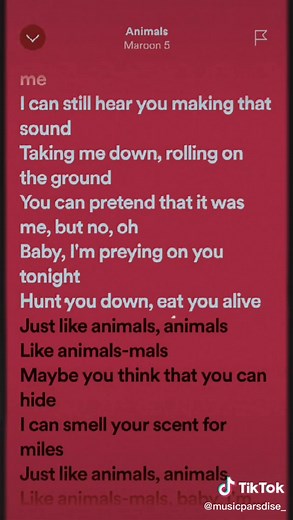 flash warning ⚠️🎧. #music #lyrics_songs #lyricsvideo #lyricsmusic #lyric #lyrics #song #spotify #lyricmusicparadise #fyp