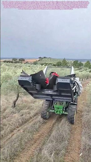 Shaking the Harvest: How Mechanical Tree Shakers Transform Olive Collection