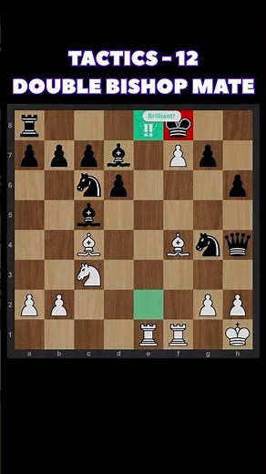 Double Bishop Mate – Elegant Endgame Checkmate. #chess #chesstactics #shorts
