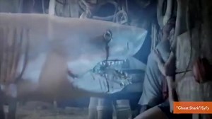 'Ghost Shark' trailer released on the heels of Syfy's 'Sharknado'