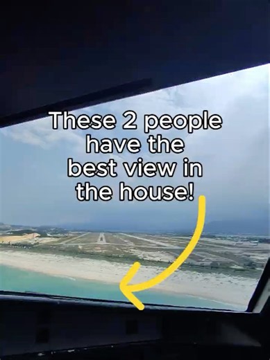 Airbus 321 arriving into a beach Paradise #pov #aviation #pilot #landing #aircraft