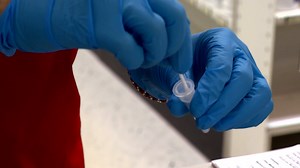 Some WNC residents can get free COVID tests through USPS pilot program