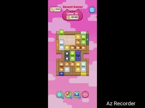 Cat Escape level 24 walkthrough solution