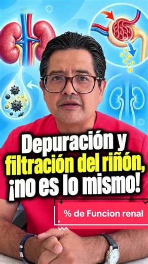 Depuración y filtración son funciones del riñón #depuracion #filtracion #funcionrenal #uremia #retenciondeliquidos