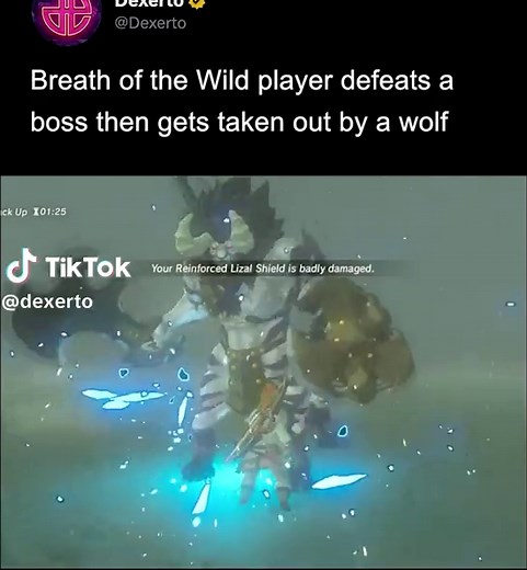 Essential Tips for Mastering Zelda: Breath of the Wild