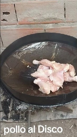 Chicken on a Disc: an easy recipe for chicken on a disc 😎