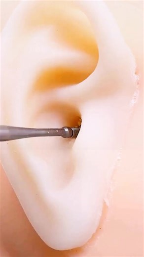 jessicarodriguez9cfd on TikTok