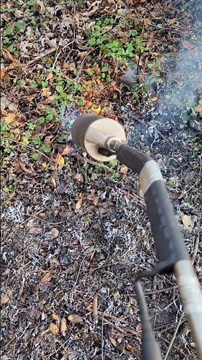 Burning Creeping Charlie (so satisfying)