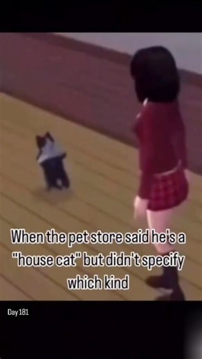 da daily Cat of da House. | Da Cat breaks it down for yo for the 181st time. ------------------------- The music is called Eatin' Good ------------------------- Specs... | Instagram