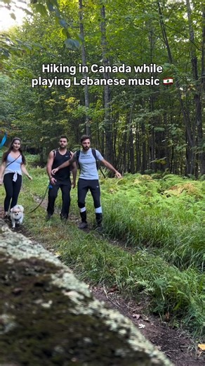 59K views · 791 reactions | The Lebanese music in the woods of Canada would be like...... By @alebaneseincanada #Funny #LebaneseMusic #MyLebanon #AmazingLebanon #LiveLoveLebanon #DiscoverLebanon #ExploreLebanon #ProudLebanese #LebaneseAmericans #Lebanon #Lebanese #AmericansLebanese | Lebanese Americans | Facebook