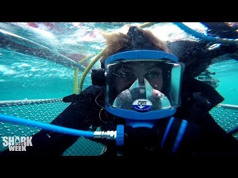 Dickie Chivell's Best Moments | The Faces of Shark Week