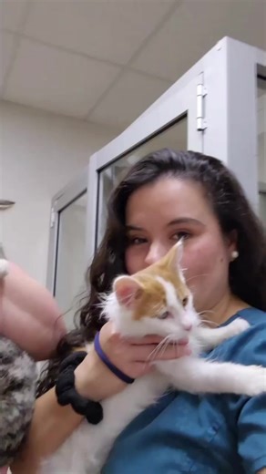 Feeling anxious? Overwhelmed? Panicky? Do you know that is scientifically proven that having a cat can make you feel better? Researchers have found that spending time with a cat can reduce an owner's heart rate and systolic and diastolic blood pressure. How cool is that! Having a cat brings lots of benefits and they make us so happy. Here at Southern Cross Veterinary Clinic, you will find all the professional support and care for the health of your cats and if you are thinking of having a holida