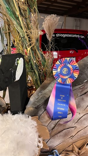 OGC won Best Trunk at Berea’s Trunk-or-Treat! 🎉 Shoutout to Mary & Barb and all our employees who volunteered this week in Canton, Berea, and Toledo. Community, creativity, and a whole lot of Halloween fun—thank you! 🧡 #trunkortreat #trunkortreat🎃 #besttrunk #goose #goosecontrol #canadagoose #doglover #animalovers #geese #volunteer | Ohio Geese Control